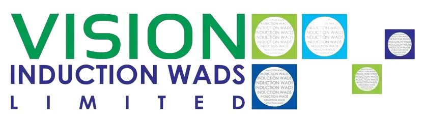 cropped cropped vision logo png.png